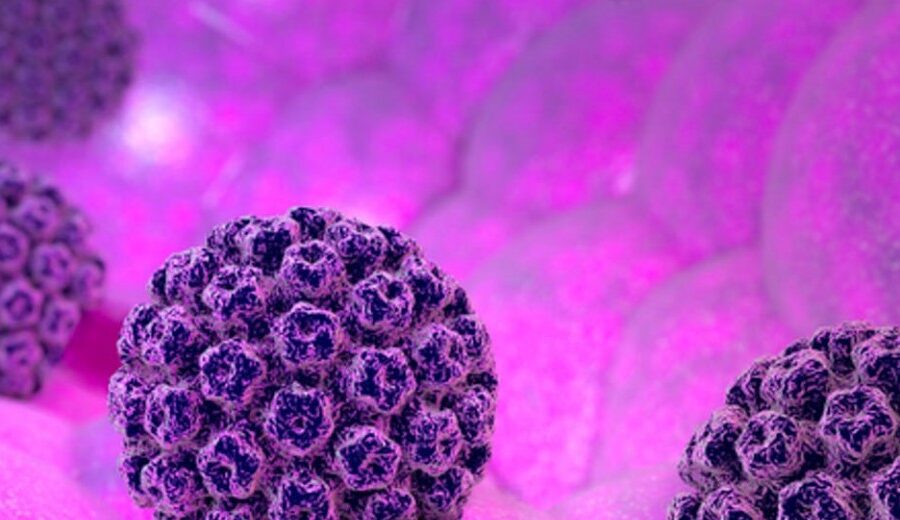 HPV
