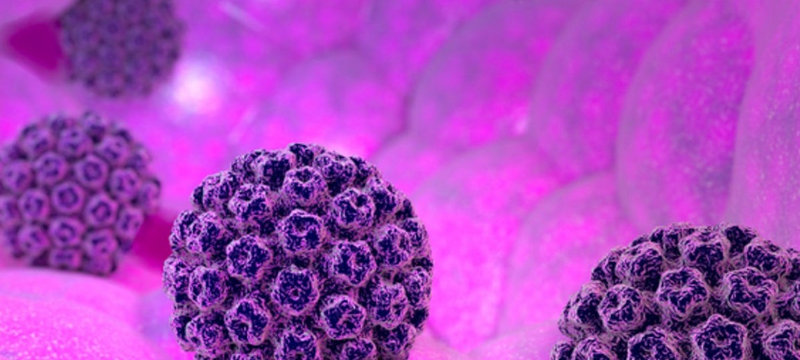 HPV